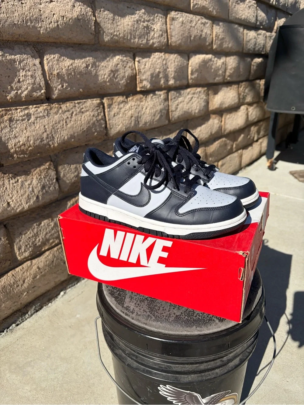 Nike Kids Navy Blue / lights Gray Low-Top Dunks